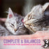 Tiki Cat Baby Weaning Puree Chicken & Chicken Liver In Broth Wet Cat Food 6oz - Poudre Pet & Feed Supply 4